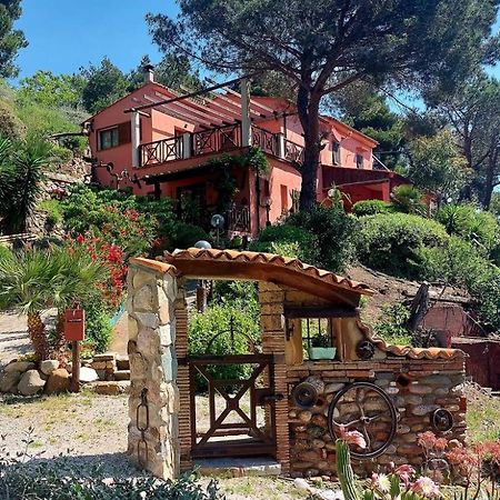 Villetta Dei Fichi D'India Rio dellʼElba Dış mekan fotoğraf