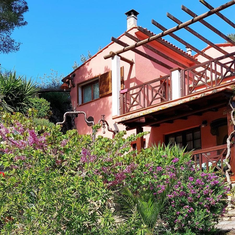 Villetta Dei Fichi D'India Rio dellʼElba Dış mekan fotoğraf