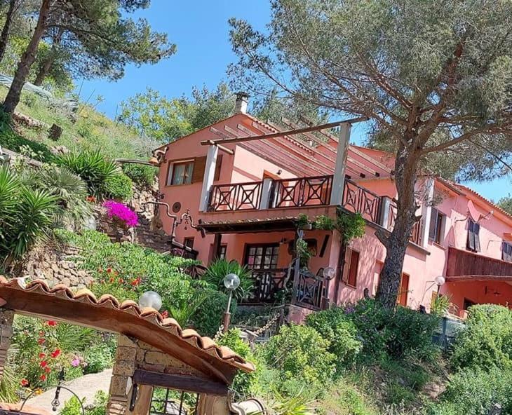 Villetta Dei Fichi D'India Rio dellʼElba Dış mekan fotoğraf