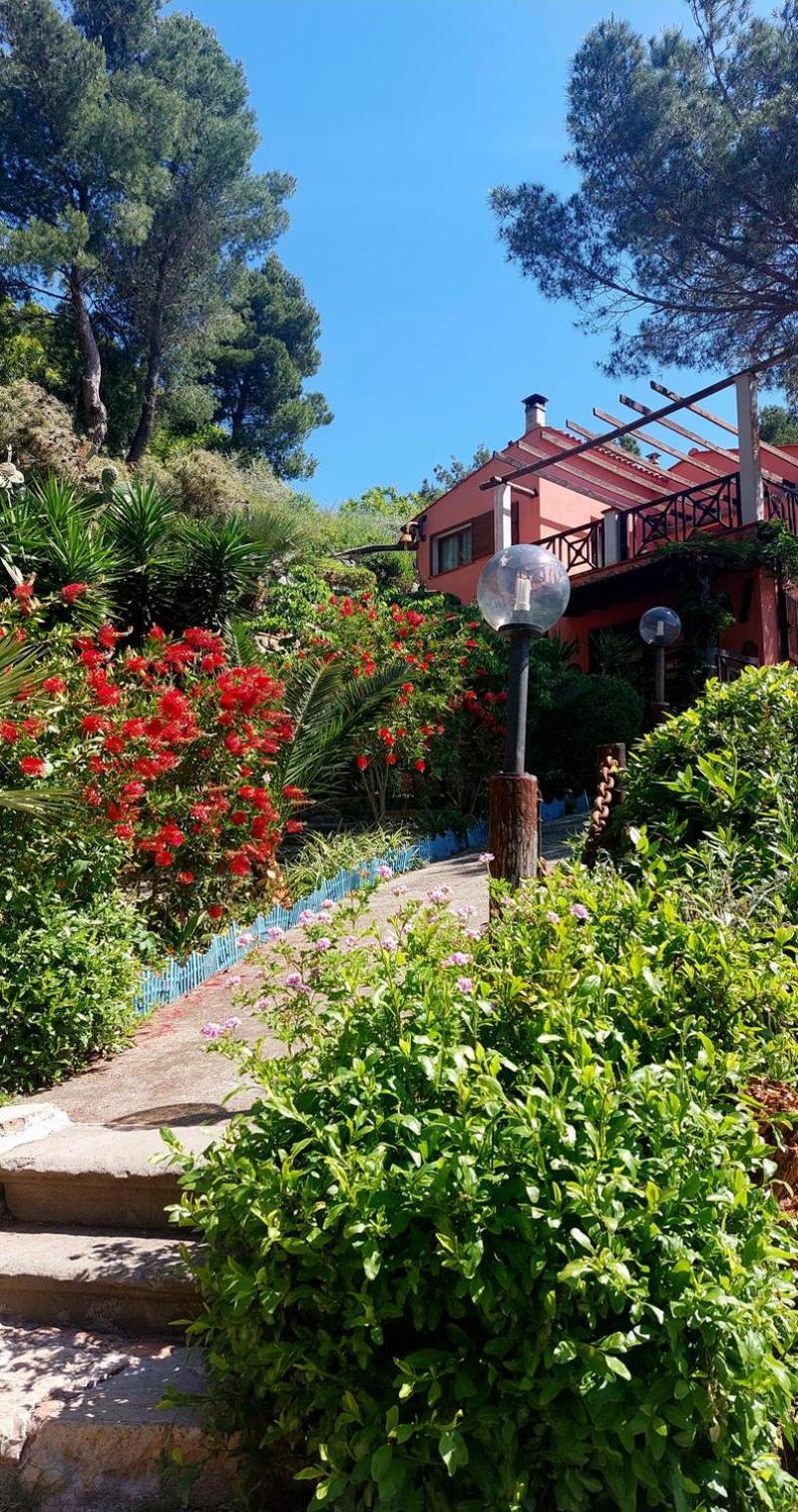 Villetta Dei Fichi D'India Rio dellʼElba Dış mekan fotoğraf